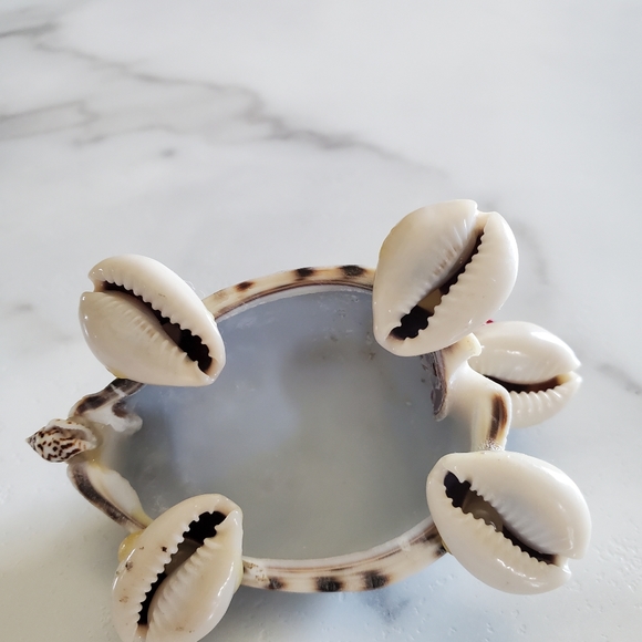 Tiny Sea Shell Turtle Figurine - Picture 7 of 14